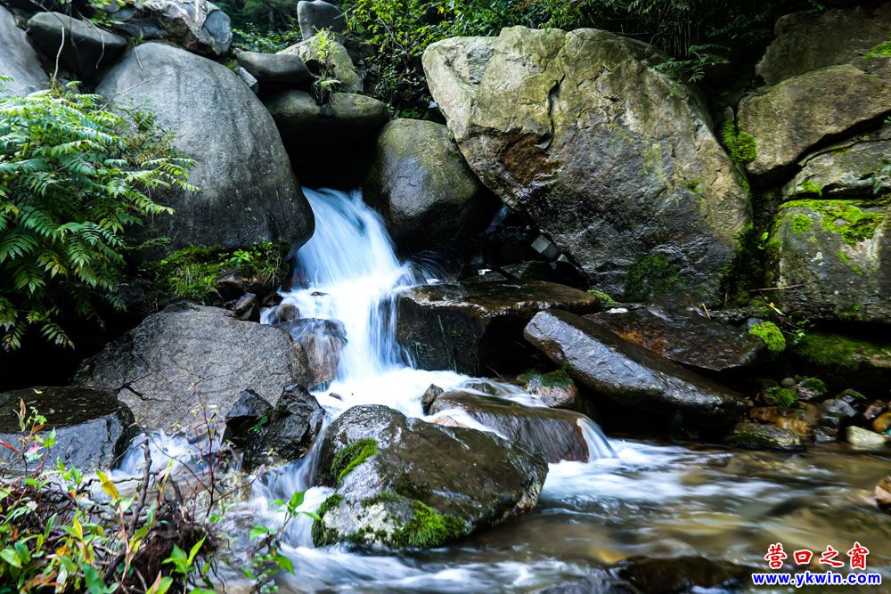 黄牙口水瀑