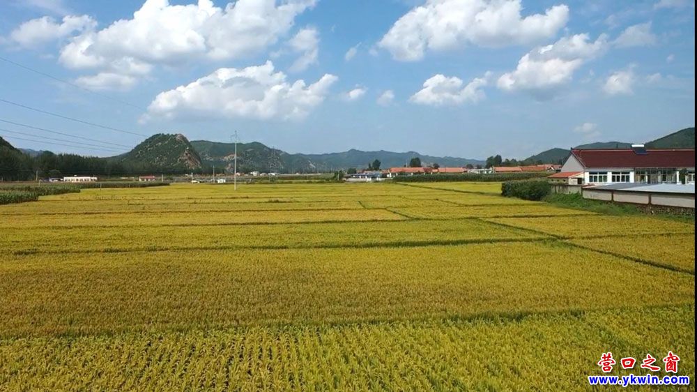 营口大石桥市建一镇路公村