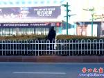 營(yíng)口市：安上護(hù)欄，行人照樣橫穿市府路