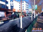 營(yíng)口市：路邊月季花 冬天蓋毯子