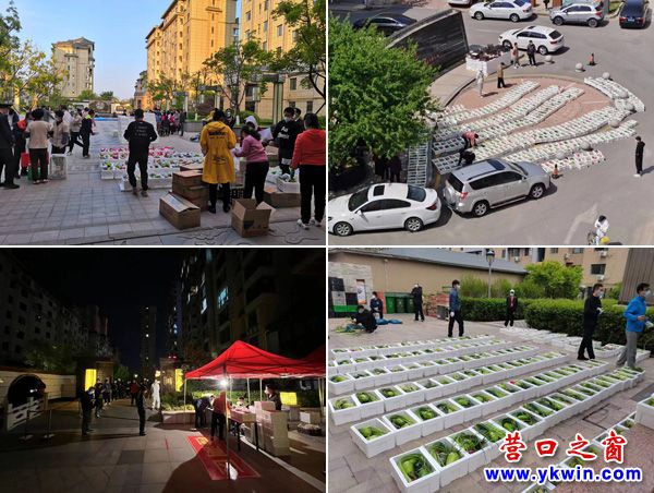 营口：中天企业集团、中天物业集团在封控中行动