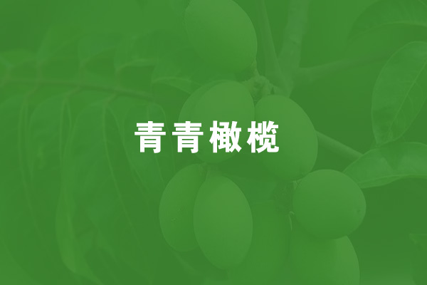 夏至 大火星出现在正南方 青青橄榄 手机营口之窗 夏至 大火星出现在正南方 青青橄榄 手机营口之窗
