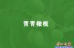 营口：纪念学习雷锋六十周年作品选