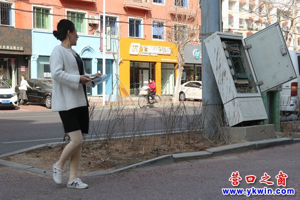 营口市新兴大街：这个箱究竟归谁管？