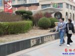 营口：中天市府广场：花坛护墙砖脱落