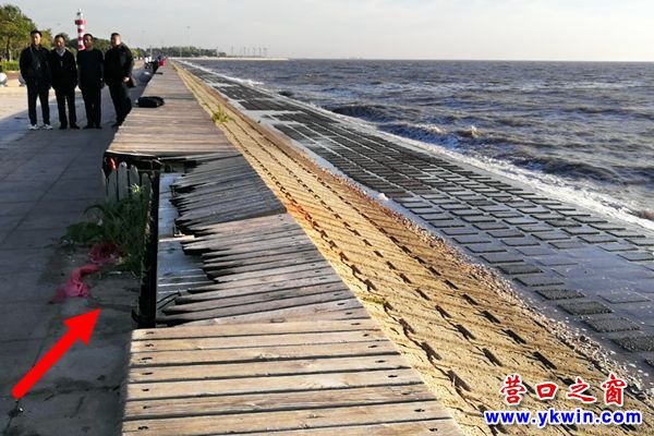 营口海螺广场：海堤破损煞风景