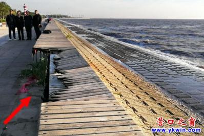 营口海螺广场：海堤破损煞风景