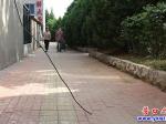 营口：线缆垂落存隐患 市民希望能管管