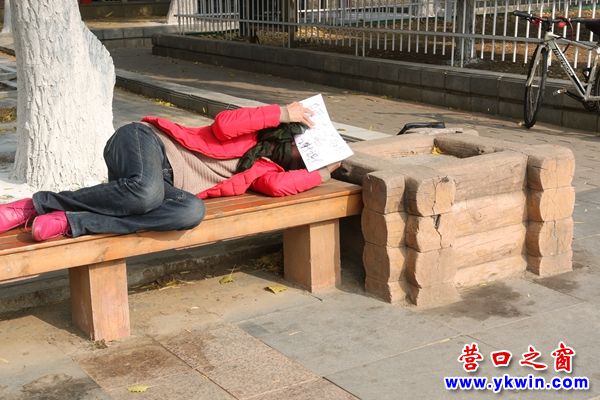 營(yíng)口公園奇遇：女子以白紙遮面曬太陽(yáng)