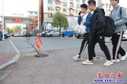 营口：这里危险  谁来管管?!