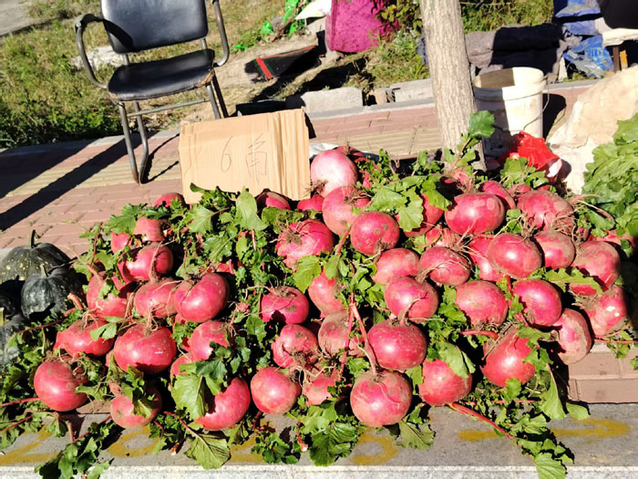 营口市大菜市今天开幕