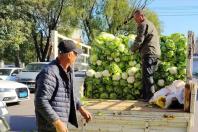 营口市大菜市：大白菜涨到7毛一斤了