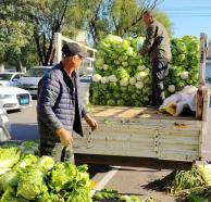 營口市大菜市：大白菜漲到7毛一斤了
