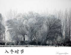 营口：现雾凇奇观