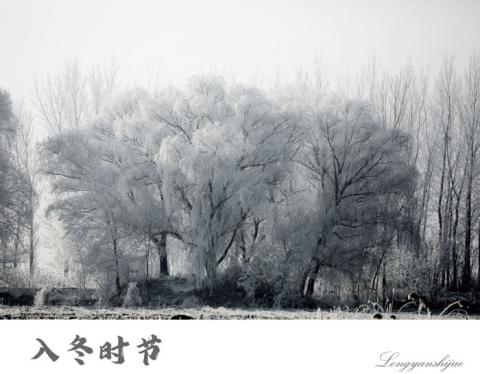 营口：现雾凇奇观