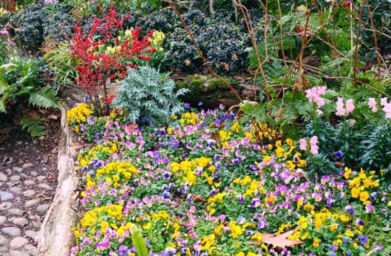 营口老人：站在祖国的南方，遥望北方的家乡营口