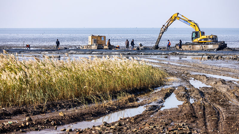 营口西海岸防泥土流固化项目工程进展最新纪实
