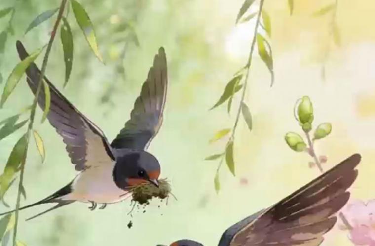 营口原创 · 春燕（文图视频）/赵志祥 | 周日欣赏