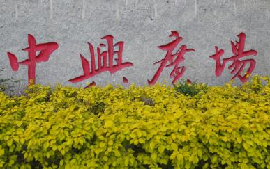 营口：海棠依旧笑春风——熊岳中兴广场采风纪实