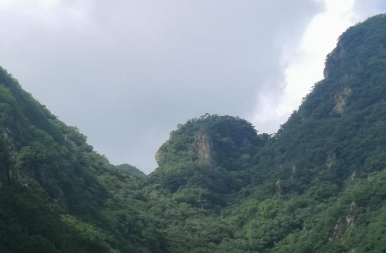 营口原创故事 · 我邀校友故乡游——张明深 新作
