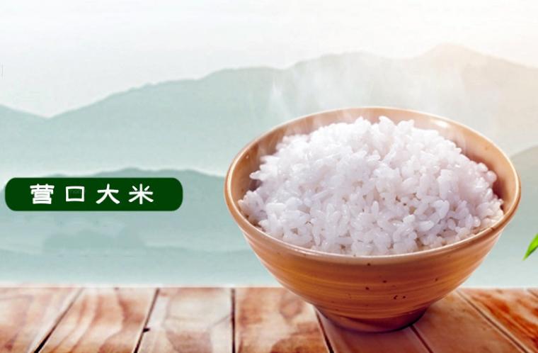 营口：退海之地，为何能盛产如此惊艳的大米？