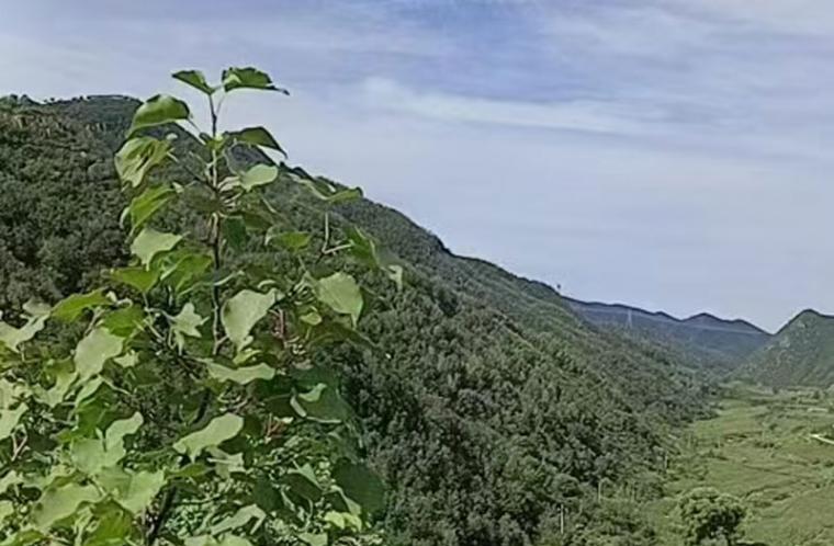 营口原创文学：鲅魚圈区文旅联（四）/东纪善 | 首发