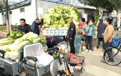 囤秋菜啦！营口11处点位、白菜低至4毛起