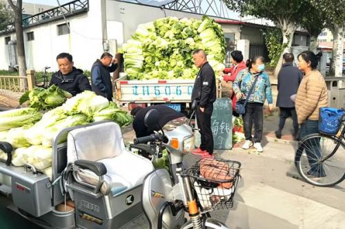 囤秋菜啦！营口11处点位、白菜低至4毛起
